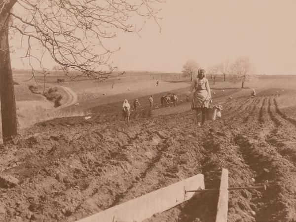 Vytrvalost navzdory překážkám: příběh paní Marie S. 